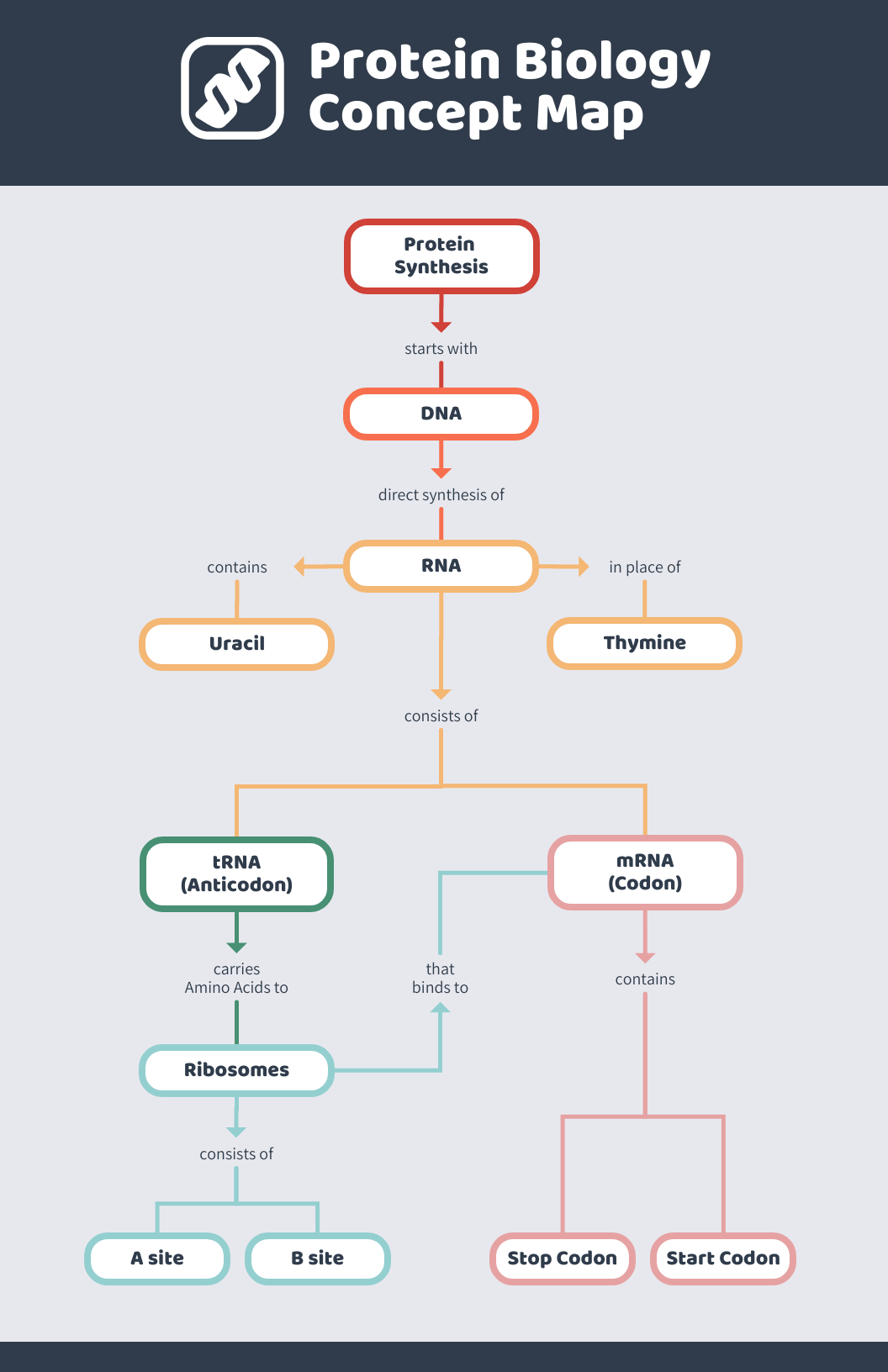 concept map example