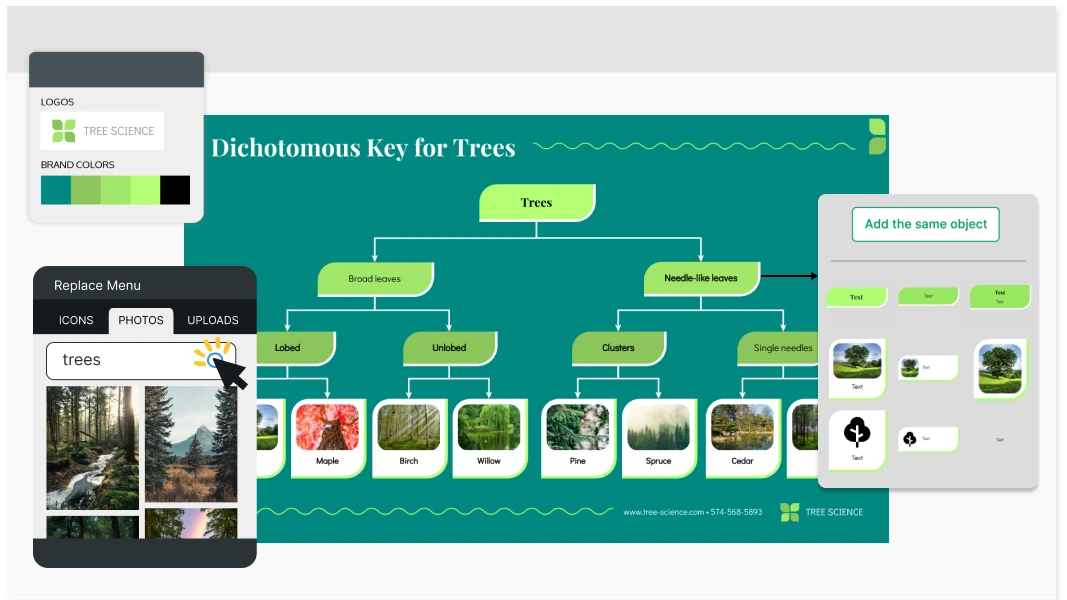 Family Tree Maker e modelli gratuiti - Venngage