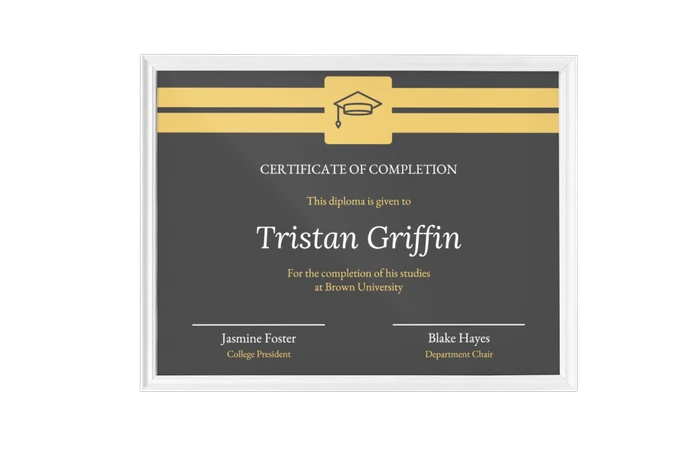 Completion Certificate Templates