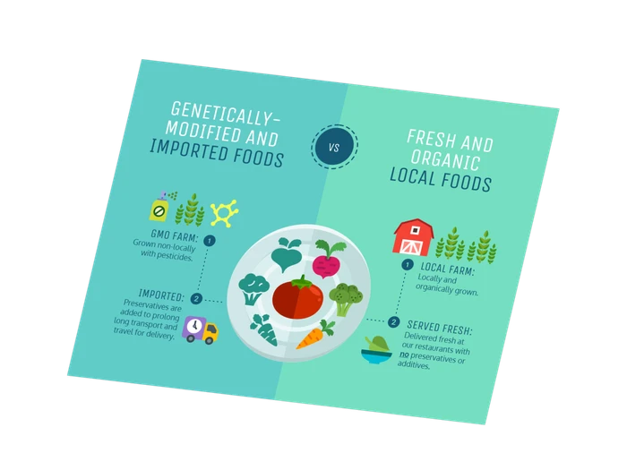 Lebensmittel-Infografik-Vorlagen