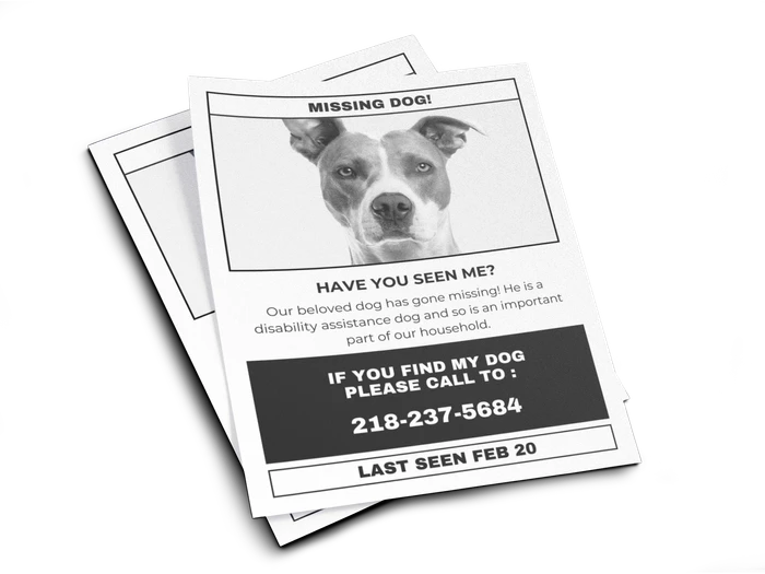 lost dog flyer templates