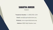 Beige And Navy Modern Geometric Student Business Card - Page 2