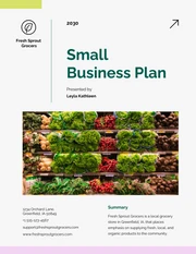 Green And Pink Small Business Plan - Page 1