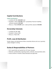 Limited Liability Partnership Agreement Template - Pagina 2
