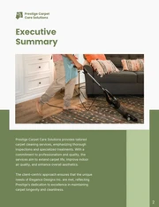 Carpet Cleaning Proposals - Page 2