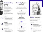 Bipolar Disorder Insights Accordion-Fold Brochure - Page 2