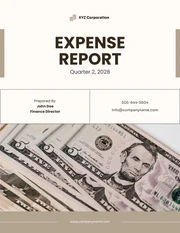 Brown Simple Expense Report - Page 1