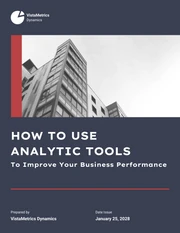 Improving Business Performance: Analytic Tools Report - Page 1