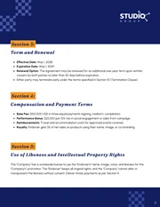 Endorsement Contract Template - page 2