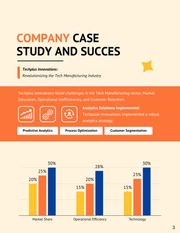 Leading Success: Analytic Case Studies Report - Page 3