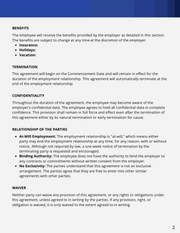 Terms Of Employment Contract Template - Page 2