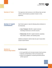 Strategic Partnership Agreement Template - Pagina 2