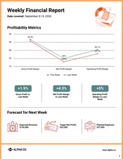 Weekly Financial Report Template - Seite 4