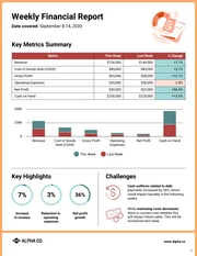 Weekly Financial Report Template - page 1