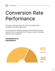 Marketing Performance Report - Page 3