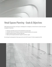 Minimalist Retail Development Project Plan - Page 3