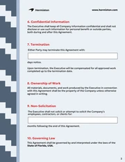 Fractional Executive Contract Template - Seite 3