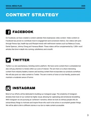 Blue Social Media Marketing Plan - Page 3