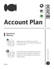 Black Gray And Green Simple Modern Account Plan - Page 4