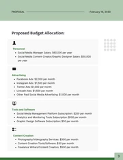 Social Media Budget Allocation Proposal - page 3
