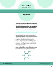 Pale Green Research Proposal Template - Page 3