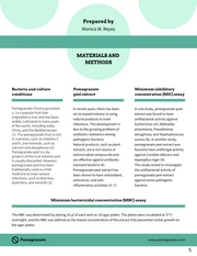Pale Green Research Proposal Template - Page 5
