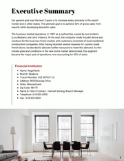 Design Consultant Business Plan - page 3