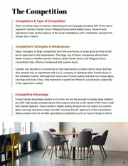Design Consultant Business Plan - page 6