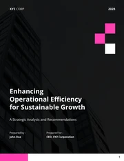 Operational Efficiency Report - Page 1