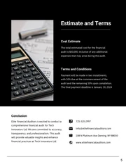 Financial Audit Proposals - Page 5
