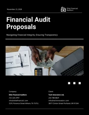 Financial Audit Proposals - Page 1