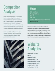 Light Competitor Analysis Consulting Report - Página 4