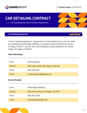 Car Detailing Contract Template - Página 1