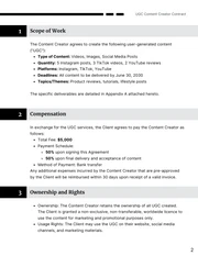 UGC Content Creator Contract Template - Seite 2