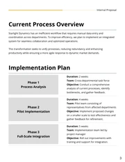 Internal Process Improvement Proposal - Page 3