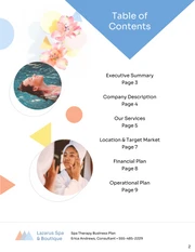 Spa Business Plan Template - Página 2