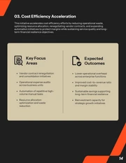 Executive Management Report Template - Seite 14