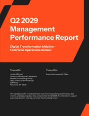 Executive Management Report Template - Seite 1