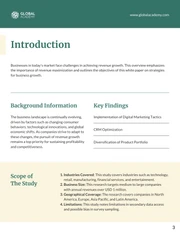 APA White Paper Template - Página 3