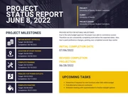 Yellow Project Status Report - Page 2