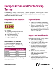 Influencer Proposal Template - Página 5
