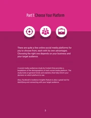 Visual Digital Marketing Social Media Promotion White Paper - Página 3