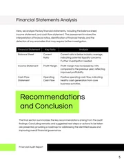 Financial Audit Report - Page 5
