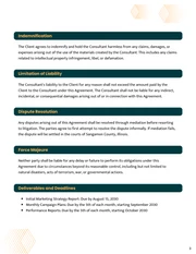 Marketing Consultant Contract Template - Seite 3