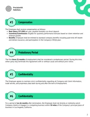 Account Manager Contract Template - Seite 2