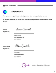 IT Consulting Contract Template - Seite 4