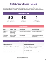 Safety Compliance Report Template - page 1