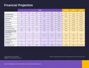 Financial Plan Template - Page 5