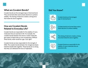Science Brochure - Page 2