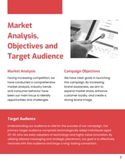Brand Awareness Campaign Proposal - Page 3